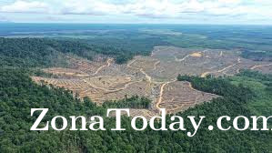 Kajian Ungkap Kerusakan Hutan di Area Konsesi Memperparah Banjir dan Longsor di Sumatra Utara